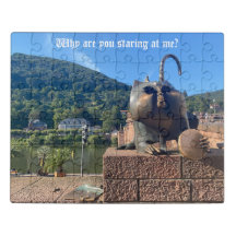 Por que você está me encarando?