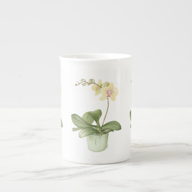 Porcelana Orquídea no pote verde na caneca botânica de China (Frente)