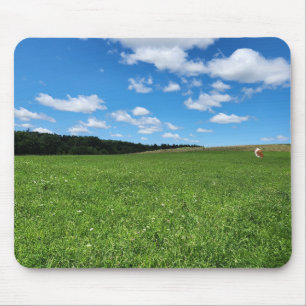 Porco-guineense num Mousepad de Campo