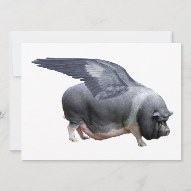 porco voador (Frente)