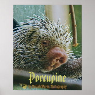 Porcupine 2 Poster