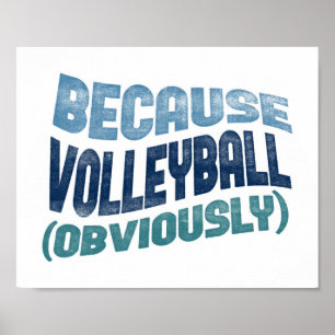 Porque poster do voleibol - arte engraçada do