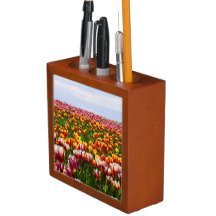 cena da natureza, presente de escritores, mesa de 