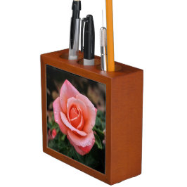 Porta-caneta Impressão de Arte Botânica Rosa Romântica