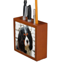Retrato De Um Rei Charles Cavalier Spaniel