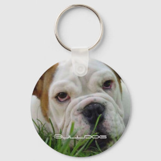 Porta-chaves Bulldog