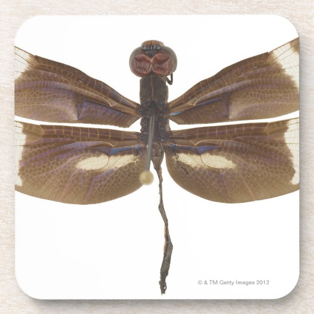 PORTA-COPO 23599152 (Frente)