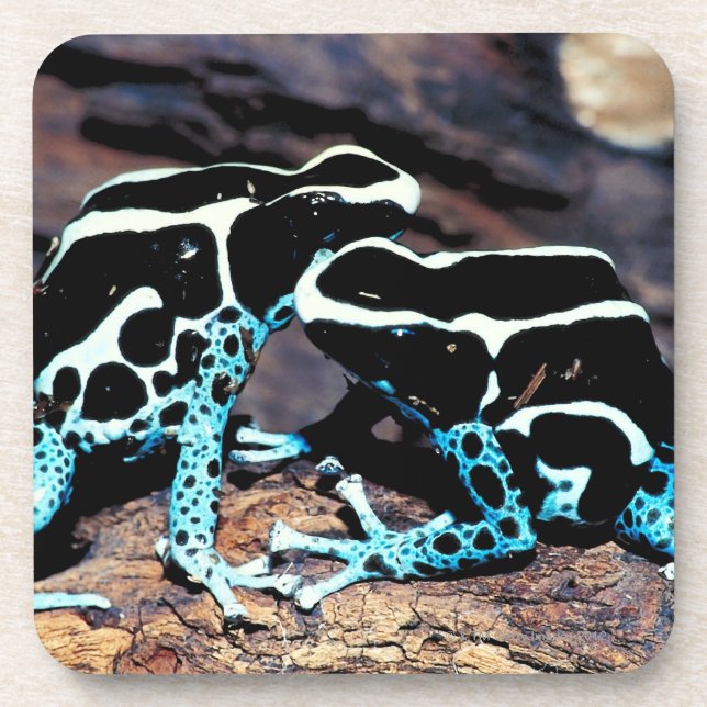 PORTA-COPO 23898179 (Frente)