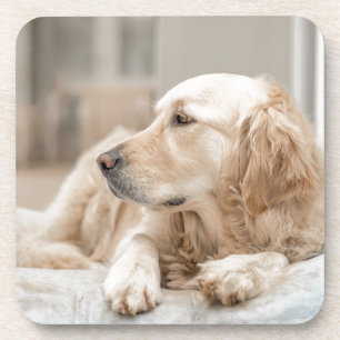 Porta-copo 34137641_xxl