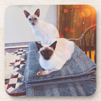 Porta-copo 6 Duro Siamês portas copos plásticas com rolha