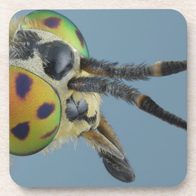 Porta-copo A cabeça dos cervos voa (Frente)