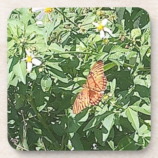 Porta-copo A Natureza em seu Melhor