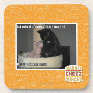 Porta-copo ?a regra se u que vai compartilhar da cama 2 das