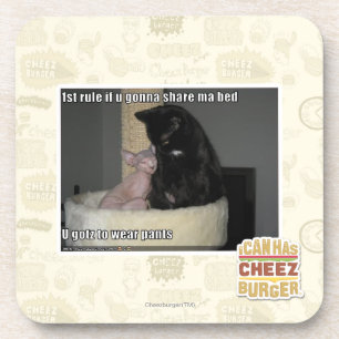 Porta-copo ?a regra se u que vai compartilhar da cama 2 das