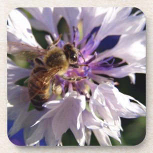 Porta-copo Abelha e flor azul