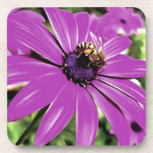 Abelhas De Mel Numa Arte Daisy Africana Roxa
