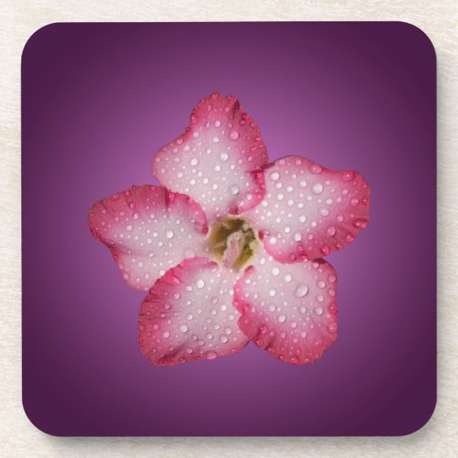 Porta-copo Adenium Flor de Rosa Flora Gradiente Violeta (Frente)