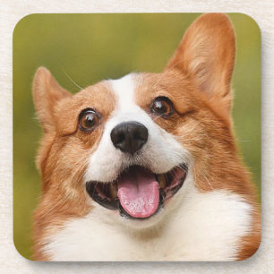 Porta-copo Adicionar Foto de Cão Personalizada Personalizada