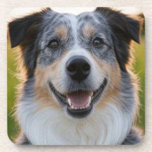 Porta-copo Adicionar Foto Pet Personalizar