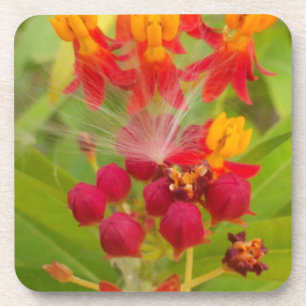 Porta-copo Adoráveis Buds de Flor Amarelo Vermelho Verde.