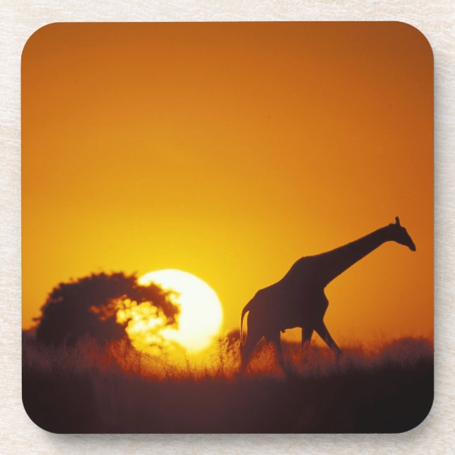 Porta-copo África, Botsuana, Parque Nacional Chobe, Girafa 2 (Frente)