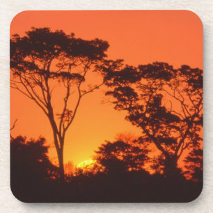 Porta-copo África do Sul. Pôr do sol africano.