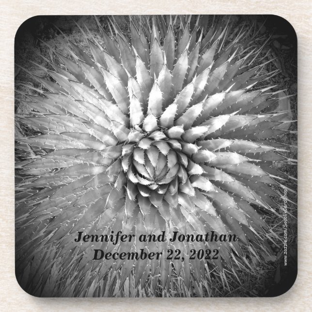 Porta-copo Agave Spikes Personalizado Nome B&W Conjunto de 6 (Frente)