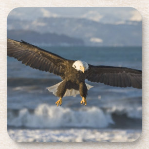 Porta-copo Águia-careca, Haliaeetus leucocephalus, Homer, 3