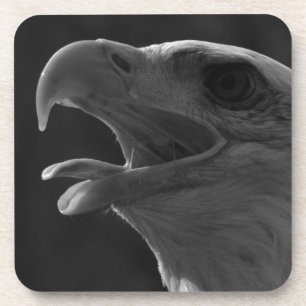 Porta-copo Águia Preta e Branca