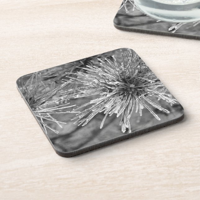 Porta-copo Agulhas de pinheiro cobertas por gelo em preto e b (Left Side)