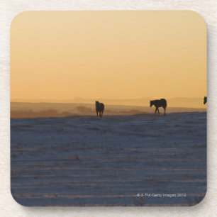 Porta-copo Alberta, Canadá 3