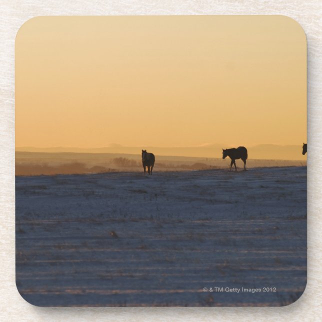 Porta-copo Alberta, Canadá 3 (Frente)