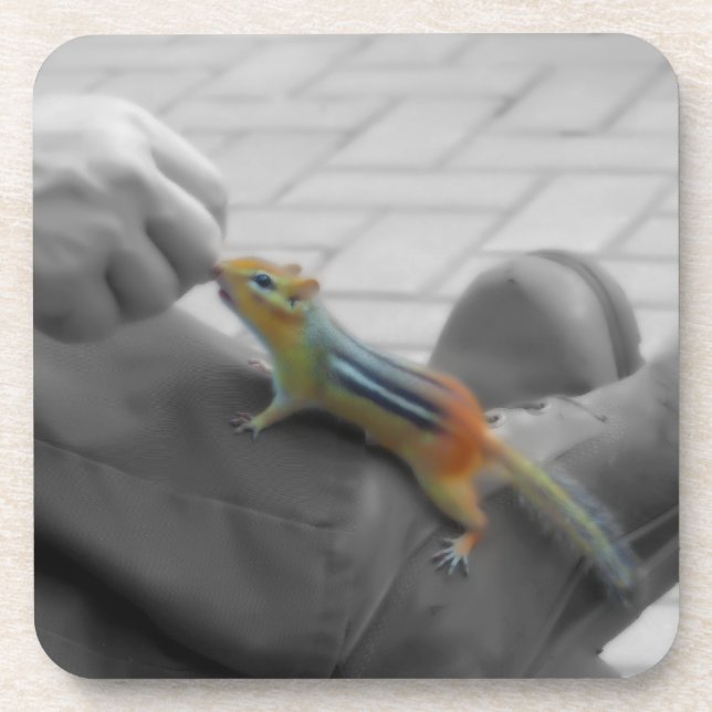 Porta-copo Almoço do chipset (Frente)