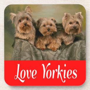 Porta-copo Ama Yorkies Cachorro de Estimação Yorkshire Terrie
