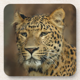 Porta-copo Amantes de Leopardo Arte