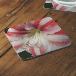Porta-copo Amaryllis Floral, com risca vermelha e branca