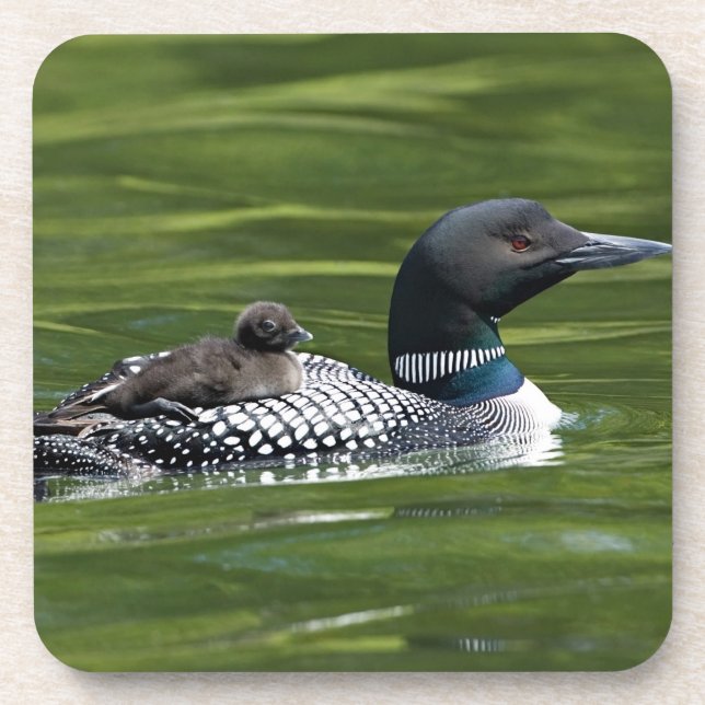 Porta-copo América do Norte, Canadá, Colúmbia Britânica, Lac  (Frente)
