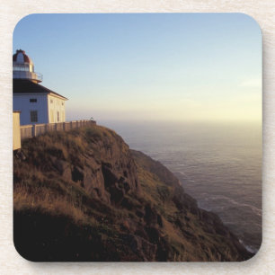 Porta-copo América do Norte, Canadá, Terra Nova, Cabo Spear,