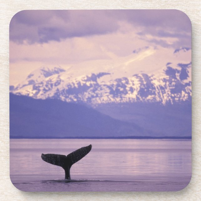 Porta-copo América do Norte, EUA, Alasca, Dentro Passage. (Frente)