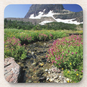 Porta-copo América do Norte, EUA, Montana, Glacier National 