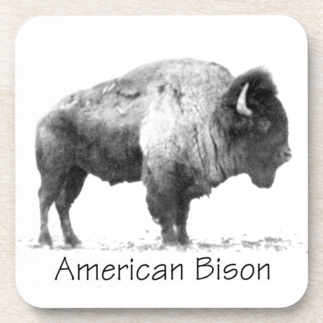 Porta-copo American Bison (Frente)