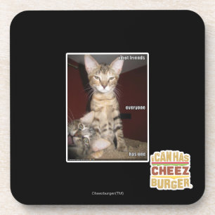 Porta-copo Amigos do idiota