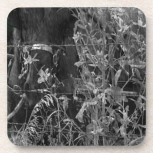 Porta-copo Amish Horse Black and White Grunge