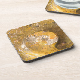 Porta-copo Ammonite e Fósseis em Rock Nature Fotografia