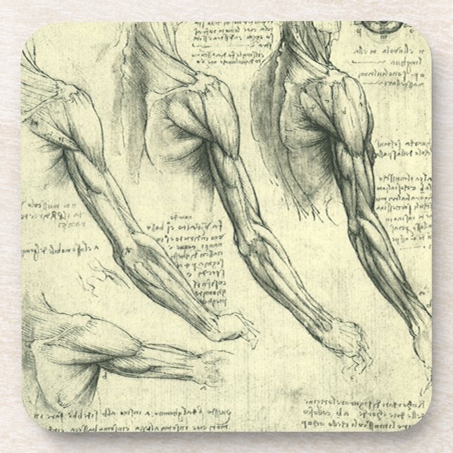 Porta-copo Anatomia do Braço e Ombro de Leonardo da Vinci (Frente)