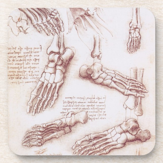 Porta-copo Anatomia humana Pés-Ossos por Leonardo da Vinci (Frente)