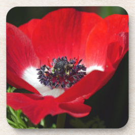 Porta-copo Anemone Vermelho.JPG