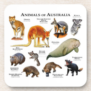 Porta-copo Animais da Austrália