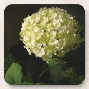 Porta-copo Annabelle Hydrangea Bloom