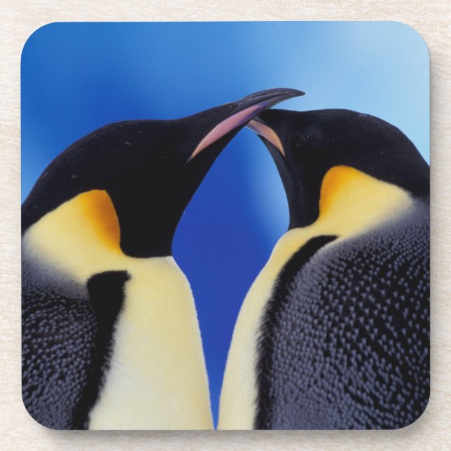 Porta-copo Antártida, Pinguins-imperadores (Frente)